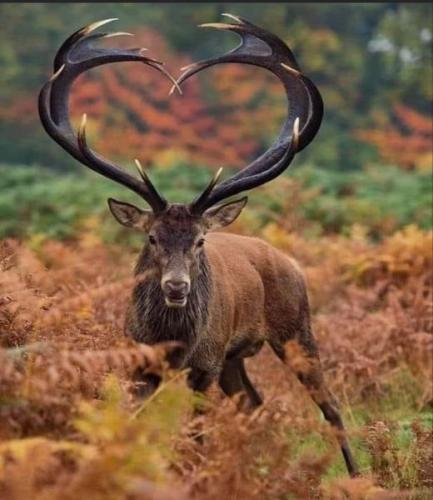 294504027_5247324761982916_6636039742951768660_n