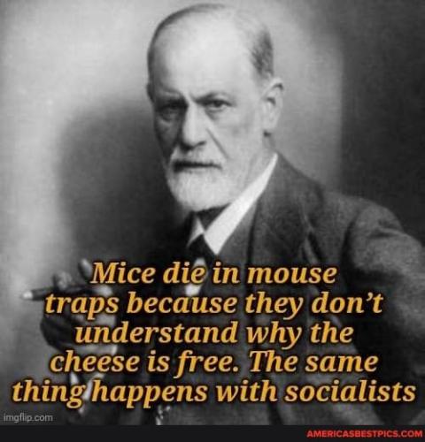 f7cac4babeb2e6b96db7a7baff7be3a54219f96e521dd01f0146285d3a0fabbc_1