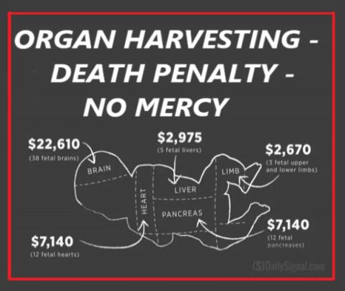 photo_2022-07-25_15-08-04