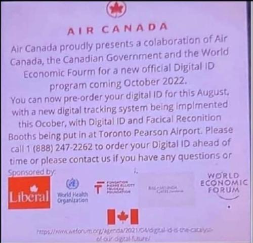 FB_IMG_1658074311748