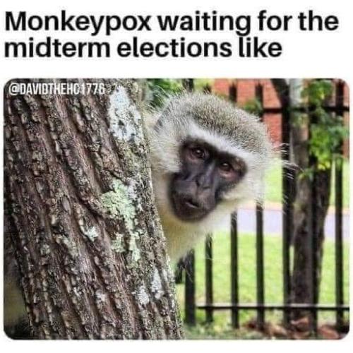 295756042_10159083133073067_1245773245699403692_n