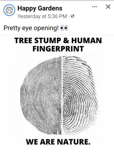 Screenshot_2022-07-29-08-17-18-503_com.facebook.katana~2