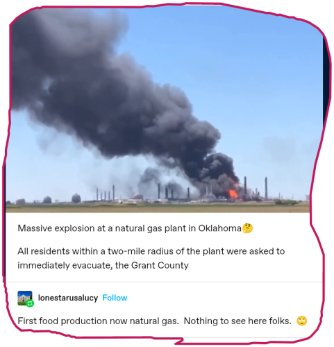 snapshot_www.tumblr.com_1657505348553