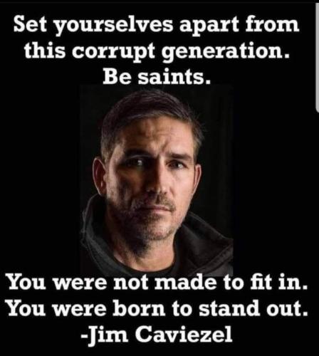 185c80f2-c439-4d98-8648-1ba91653192c