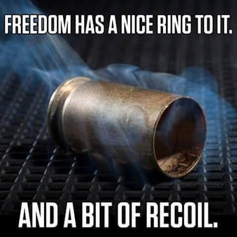 gun free recoil