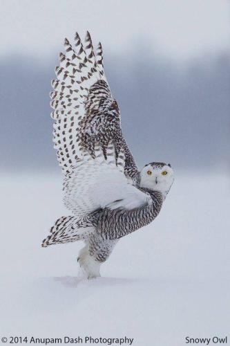 290130760_402924465194933_1227897818233635786_n