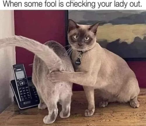 FB_IMG_1658512271312