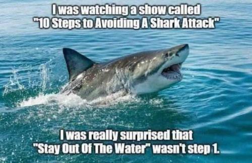 FB_IMG_1657051261419