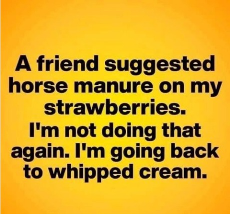 captures_chrome-capture-2022-6-19 (7)