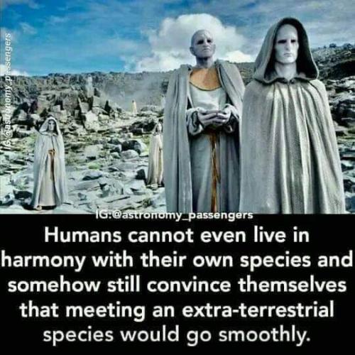 FB_IMG_1656716828722