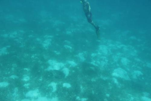 FB_IMG_1570240830289