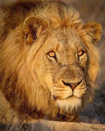 tumblr_3374bc9138cc6459e556b9c823adc8e8_0913881e_540