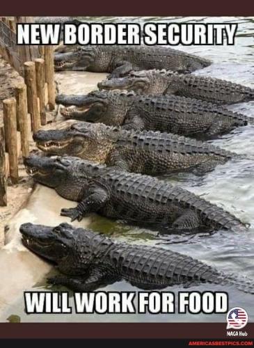 5f91f4b0c2b7f6fb1665d7733eeb479693834fe7dba608380e9a366c821ae109_1