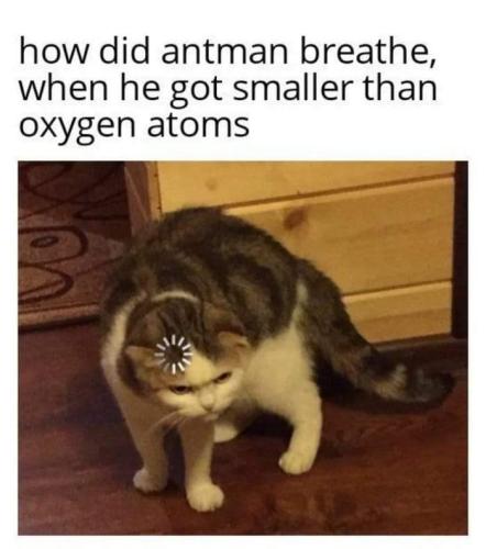 FB_IMG_1657033840692