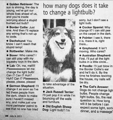 293666389_10161198661813532_1247700899730579583_n