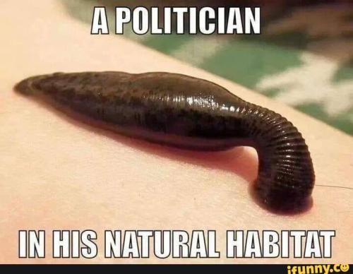 30049e52d4e29feb80ddf1924e707009293327d5b7dc94cda51ff8d7df2d02ae_1