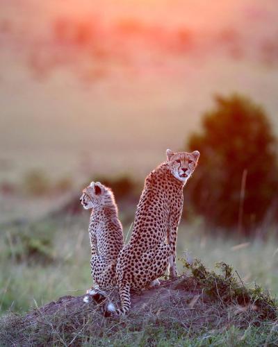 tumblr_0abb5d8b9ad37b7bebcf4229243bb1a1_2b4e2fc8_2048