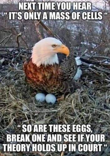 FB_IMG_1656722170441