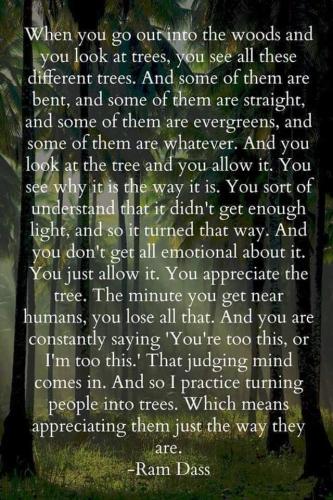 FB_IMG_1658669608211