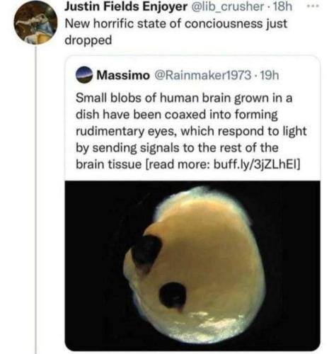 tumblr_417d75202483341b9c1ff44cbd5e857a_7f5f519d_1280