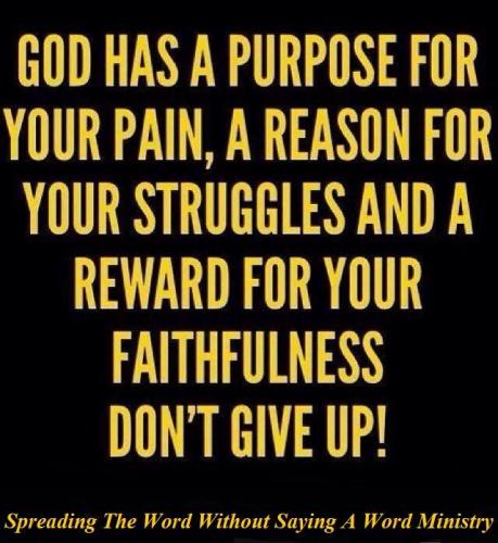 12650794_990984504317014_6143489234553851537_n