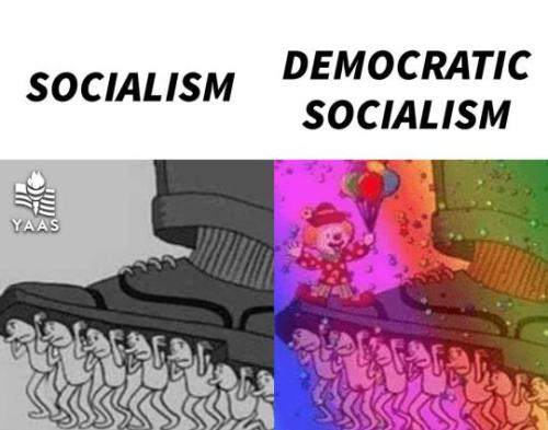 6a7fb537b4ac80b519d24_f9166bd8_540