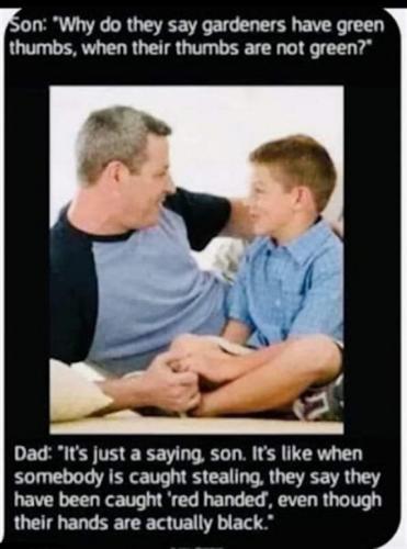 tumblr_fd8f613d240bbed99be11e1bb2afd68b_18ab79c9_540