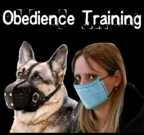 15:13:29 GMT-0400 (EDT)