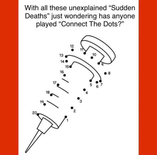 295312495_562934542129766_4570366598464381612_n