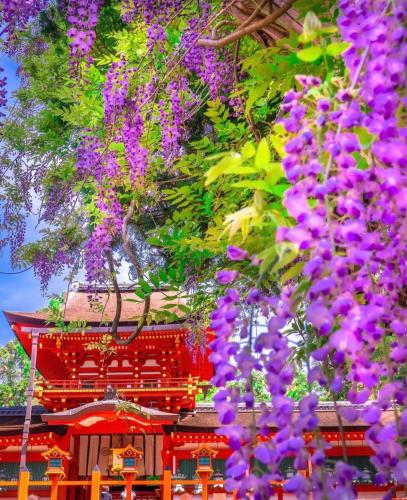 294150528_568687088219100_28302489968803951_n