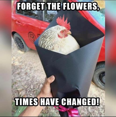 02:48:12 GMT-0500 (CDT).image