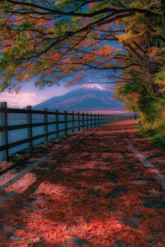 294665878_567746758313133_6099331735425843856_n