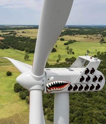 291602327_2286766454795895_762987809922448357_n