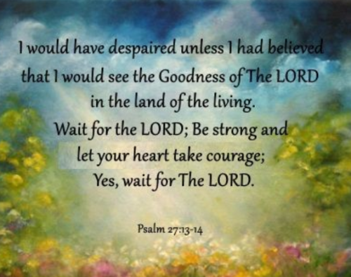 Screenshot_20220717-215644~2