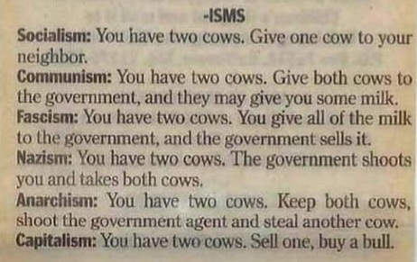 FB_IMG_1658192321357