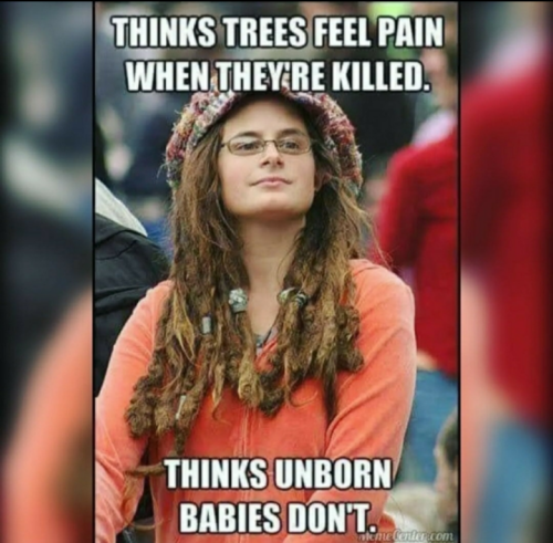 Screenshot_20220711-153235~2