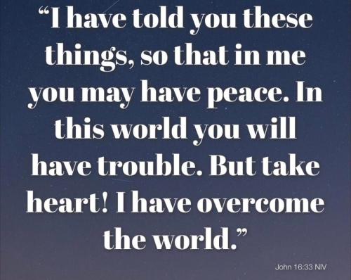 291864365_150692610893751_4383238747929406294_n