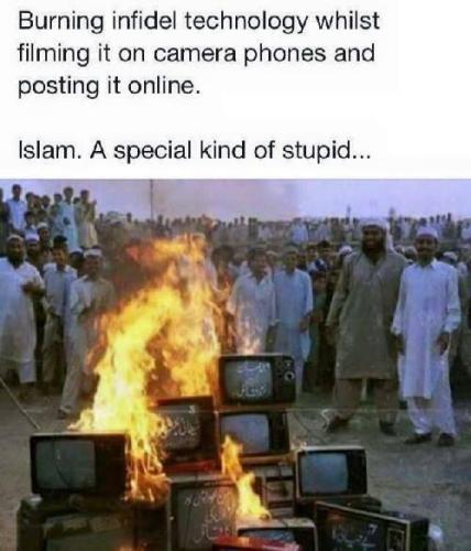 img - 2022-07-30T130451.517