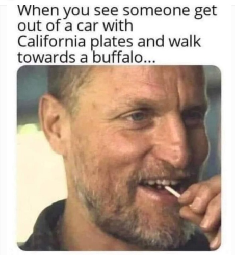 captures_chrome-capture-2022-6-9 (15)