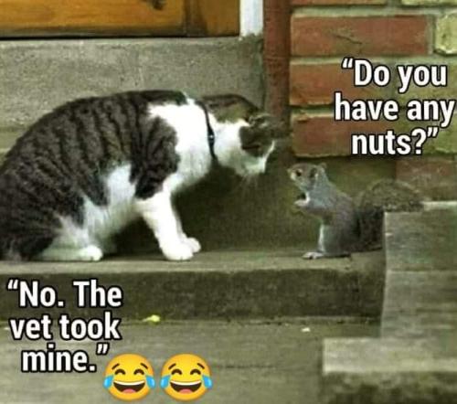 FB_IMG_1658160587562