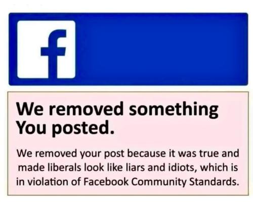 293621975_1424406298079290_7250270704236657449_n