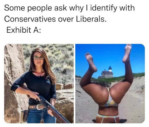 liberals301