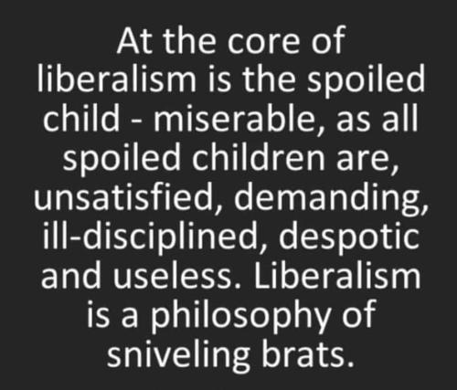 Liberalism 1