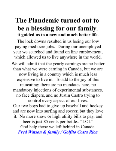 The Plandemic-page-0