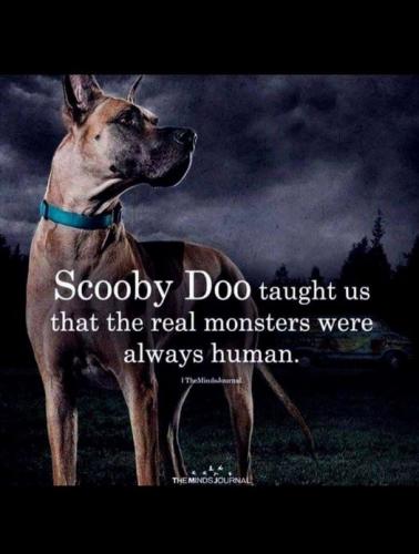 292657002_5454967847880369_390106326583581935_n