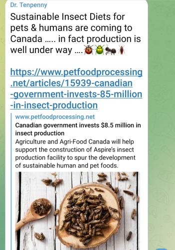 Screenshot_2022-07-23-08-54-48-935_org.telegram.messenger~2