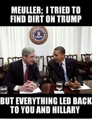 _()_funny-face-idiot-moron-fool-260nw-1381519268