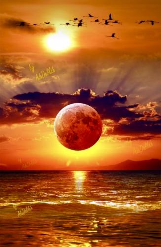 21130C96-0B4D-48D8-A08B-32DA7FBD0CF5