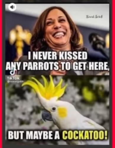 Screenshot_20220710-160707_YouTube