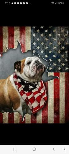 8cacdf56-4f48-4cf3-a5c1-195527dd8235